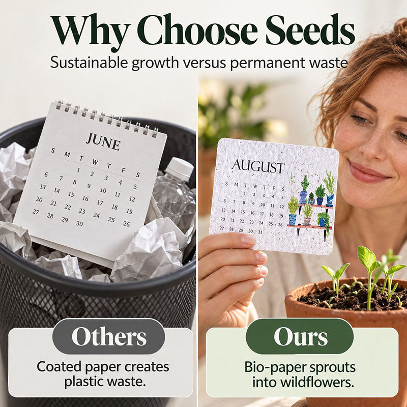 🇦🇺 🌱 2027 Plantable Desk Calendar — A Little Art. A New Beginning. 📅