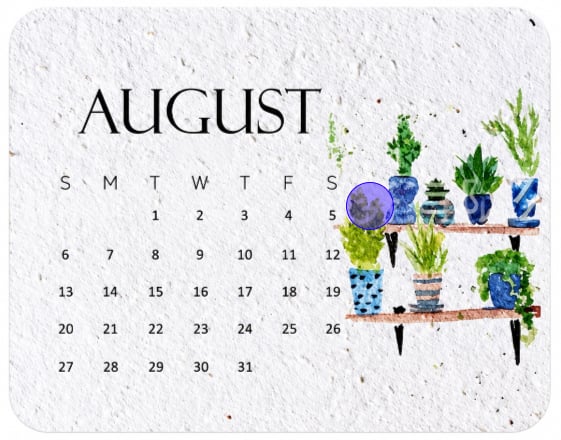 August page of the 2027 plantable calendar featuring a watercolour potted plant illustration on seed paper