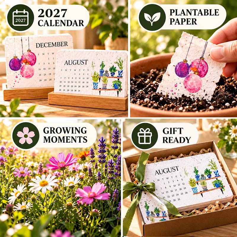2027 plantable calendar collection: seed paper cards, blooming wildflowers and gift-ready packaging with ribbon