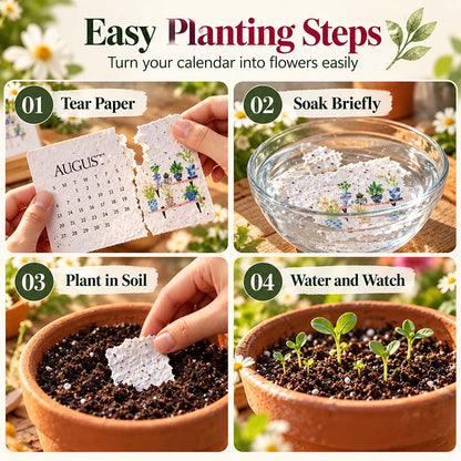 Four easy planting steps for the plantable calendar: tear the paper, soak briefly, plant in soil, water and watch it grow