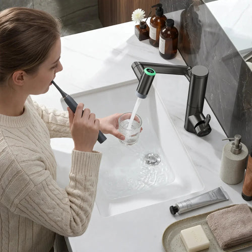 Lefton 1080° Rotating Bathroom Built-in Filter Faucet With Temperature Display-BPF01